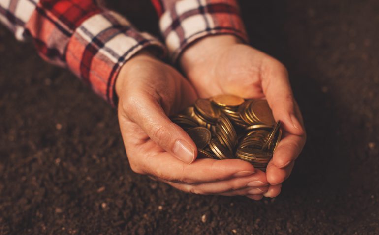 Agricultural productivity, money yield and income after crop harvest, female farmer and agronomist with handful of golden coins